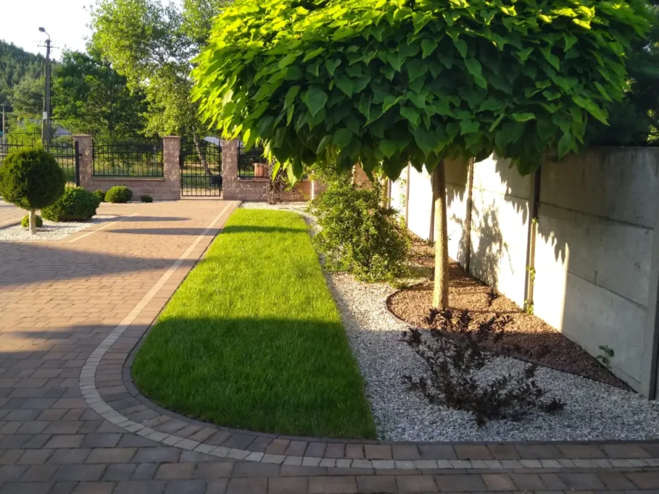 Nasłonecznienie w ogrodzie - jak dobrać rośliny do słońca, półcienia i cienia? Nasłonecznienie w ogrodzie - jak dobrać rośliny do słońca, półcienia i cienia?