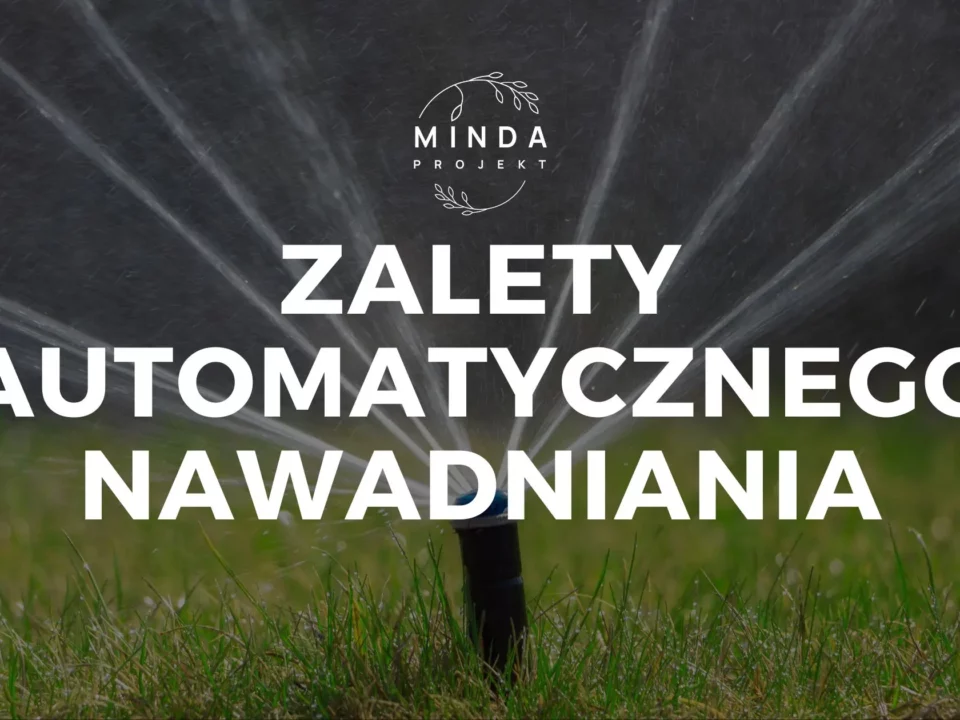Zalety automatycznego nawadniania